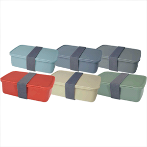 Seasons Dovi 800 ml Lunch Box