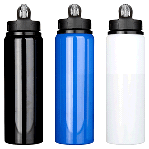Fitz Recycled Stainless Steel Drink Bottle 800ml