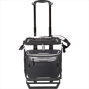 Arctic Zone Titan Deep Freeze Rolling Cooler w/ Cold Block