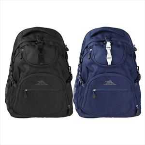 High Sierra Access Light Backpack