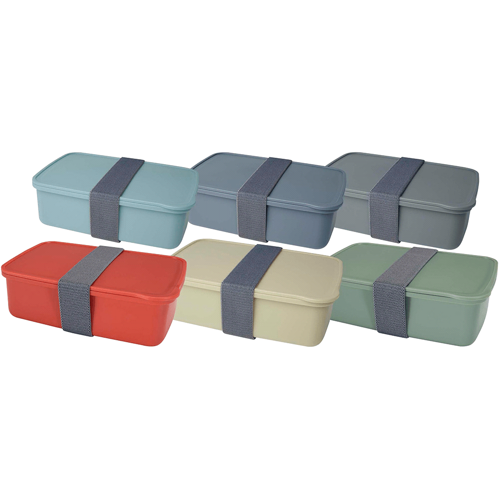 Seasons Dovi 800 ml Lunch Box