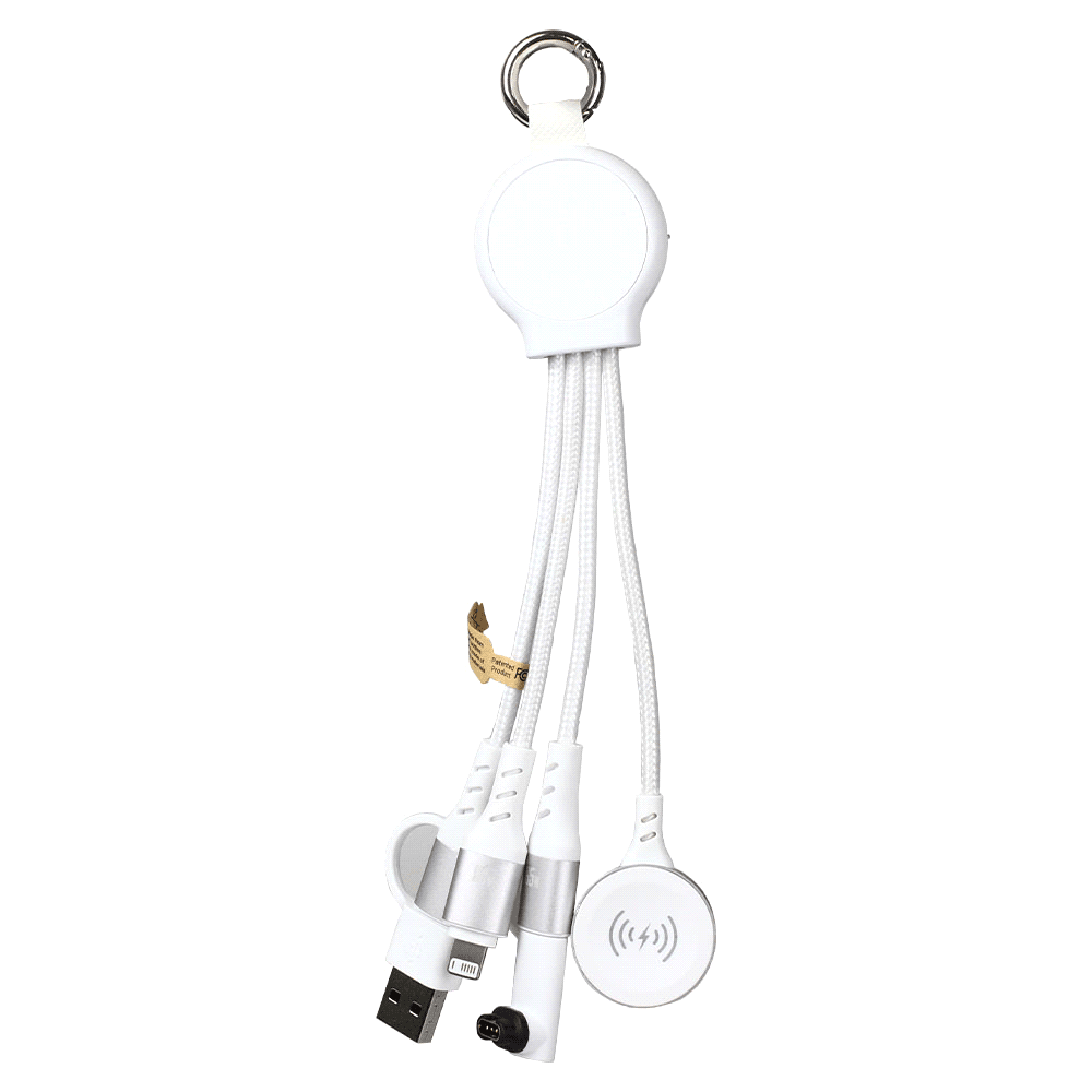 6-in-1 Multi Charging Cable