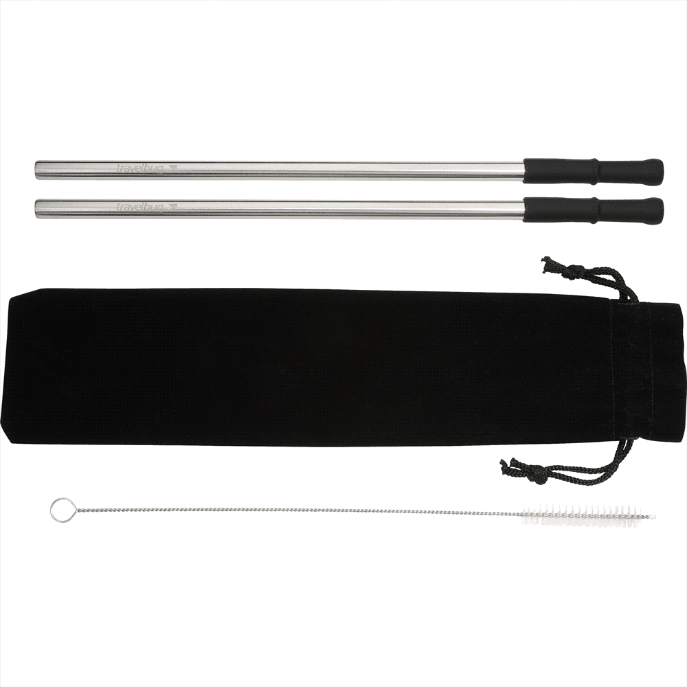 Reusable Stainless Steel Straw Set w/ Brush