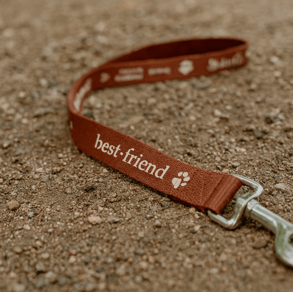 1.4M Dog Leash 19mm
